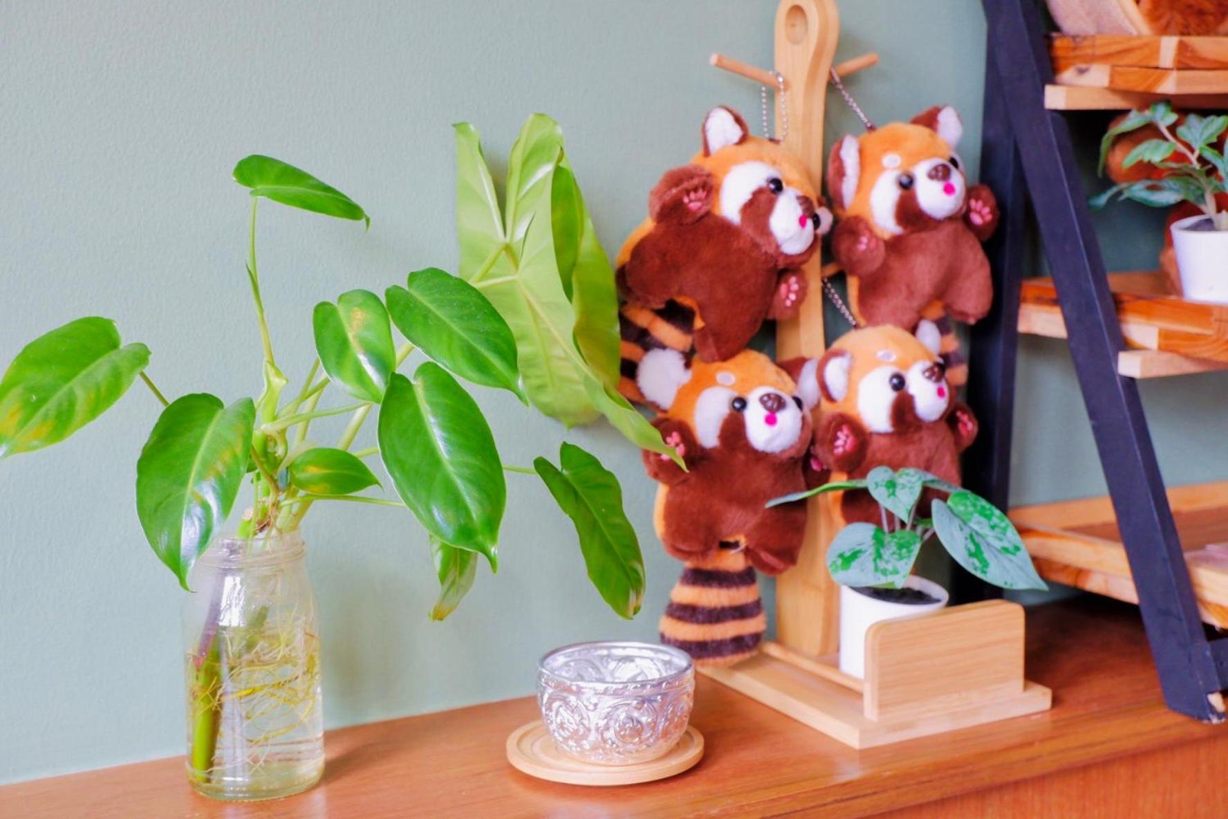 Redpanda & Cafe Auberge de jeunesse *